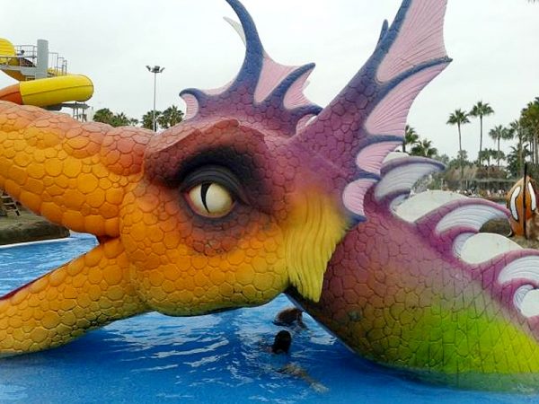 dragon